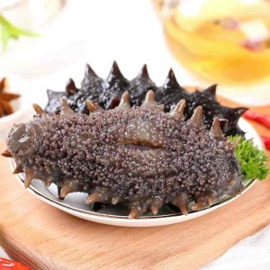 即食海参 鲜活海参 开袋即食海参
