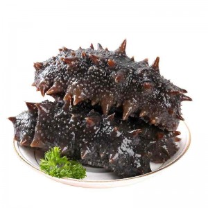 即食海参  鲜海参