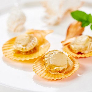 【海鲜新吃法】即食海洋零食大礼包 扇贝海鲜零食小吃虾夷贝100g