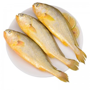 冷冻海鲜 活冻大黄花鱼1.5kg 每条0.5kg