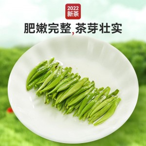 雀舌茶叶绿茶 2023春茶新茶浓茶