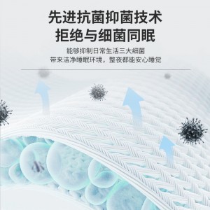 榻榻米床垫褥子 四季透气 软垫 可折叠  双人