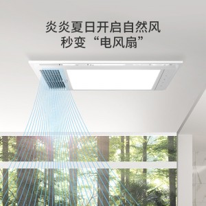 浴室卫生间风暖浴霸 集成吊顶式照明吸顶灯