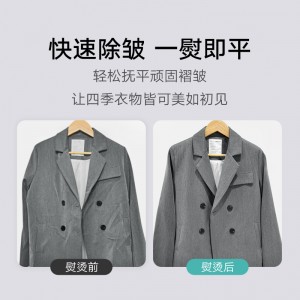 手持挂烫机 蒸汽电熨斗熨烫机