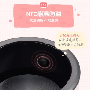 婴儿辅食 电炖锅煮粥锅 迷你家用电砂锅煲汤锅