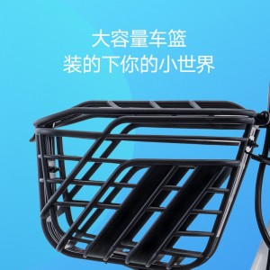 雅迪电动车  电动自行车  小型电瓶车
