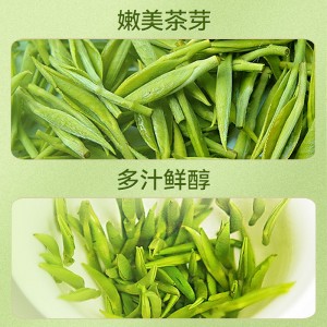 雀舌茶叶绿茶 2023春茶新茶浓茶