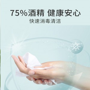 医用75%酒精消毒湿巾棉片 一次性卫生替代消毒液家用便携式