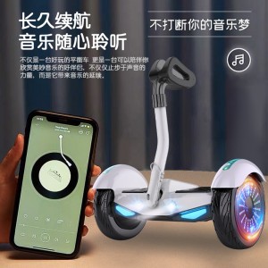 车辆 电动车 电动平衡车