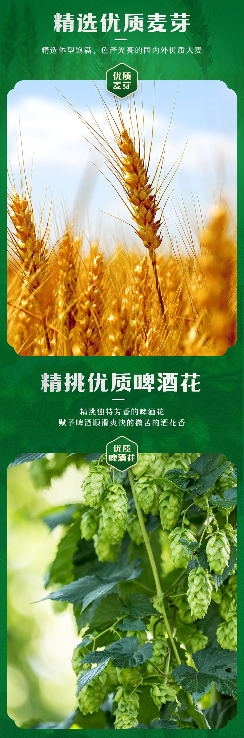 d5c5573fe29d1749b98233af6c822b39.jpg