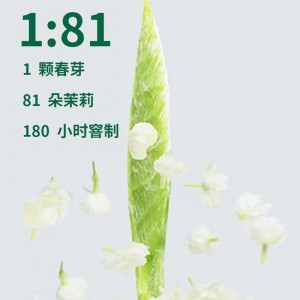 2022新茶茉莉花茶 (茉莉毛尖+茉莉飘雪）组合2罐250g花草茶绿茶 浓香型