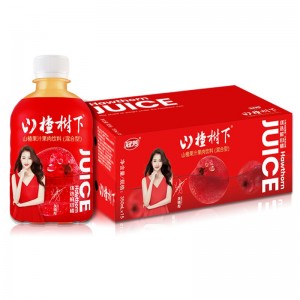 山楂果汁果肉饮料350mlx15瓶整箱装新鲜日期