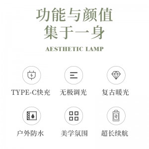 绿色露营灯 帐篷灯 户外野营灯 应急装备挂灯