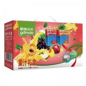 100%果汁精美礼盒 5L