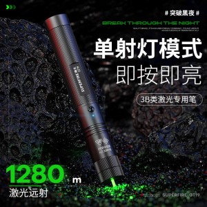 强光手电筒 激光笔 绿光售楼沙盘教鞭指示笔