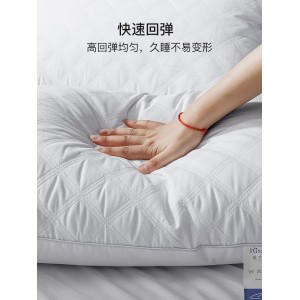 全棉枕头枕芯