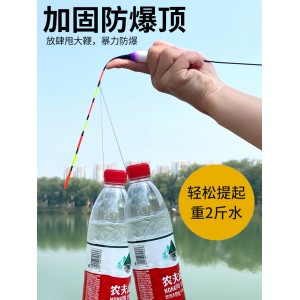 日夜两用大物夜光漂 咬钩变色 醒目加粗鲢鳙鱼漂 高灵敏硬尾浮漂