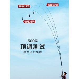 鱼竿 超轻超硬传统钓鱼竿