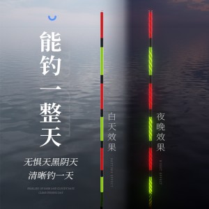 电子漂 高灵敏浮漂 咬钩变夜光漂 色加粗醒目电子鱼漂