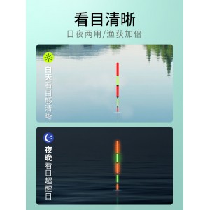 大物鱼漂 电子夜光漂 尾巨物远投夜钓浮漂
