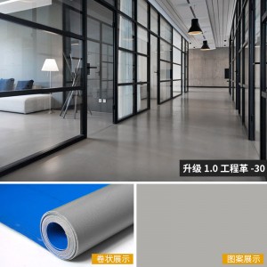 【1.0厚升级】30号工程革