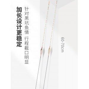 芦苇浮漂 高灵敏鲫鱼漂 醒目加粗鲤鱼漂