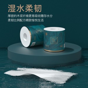 卫生纸巾大卷有芯卷纸家用家庭实惠装