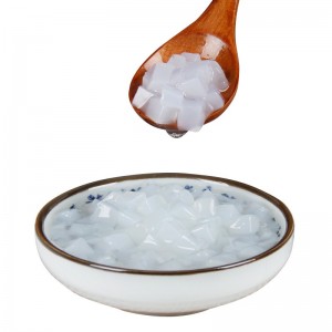 椰果粒 椰果肉 原味椰果粒奶茶专用甜品水果捞专用配料椰果 方椰果
