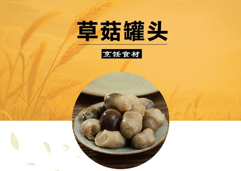 5d74e2a62b381b1e69abdf797b4841cb.jpg