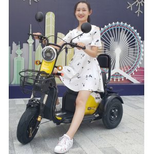 电动车 不倒翁电瓶车 电动三轮车 家用小型车  老人老年代步车
