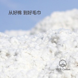 3A抗菌100%纯棉新疆长绒棉 洗脸巾