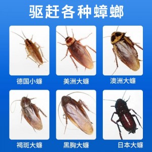驱蟑螂魔盒 家用除杀驱蟑螂神器  【6瓶装】