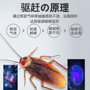 驱蟑螂魔盒 家用除杀驱蟑螂神器  【6瓶装】