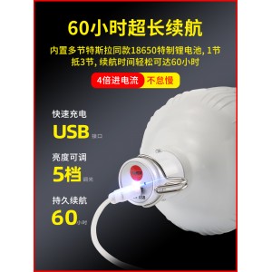 充电灯 应急照明灯  夜市灯 地摊灯