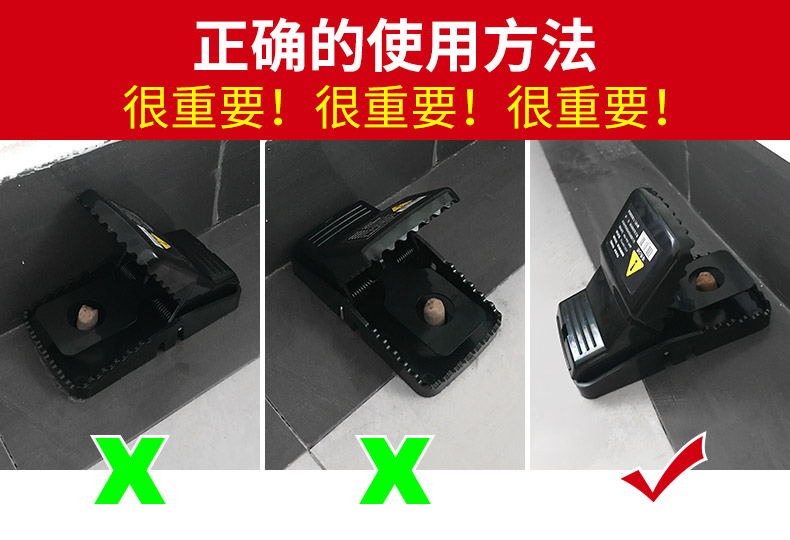 d450ad9eb039ce0968faca8302361417.jpg