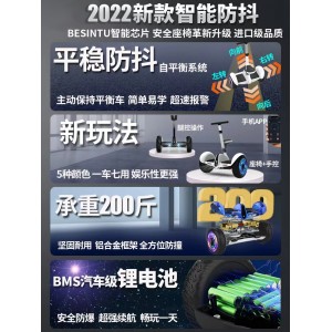 平衡车 双轮平行车
