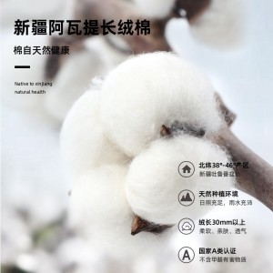 新疆长绒棉毛巾 成人柔软吸水加厚男女情侣面巾