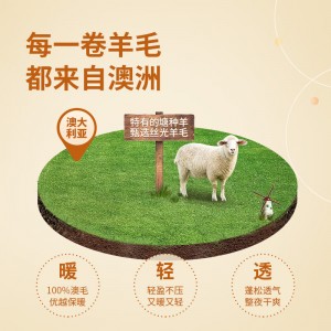 100%澳洲羊毛被 柔软细腻亲肤舒适睡眠 A类标准抑菌 春秋被