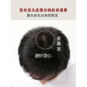 全头套式中老年短发 遮盖白发光头 真发透气