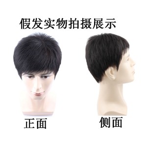 全头套式中老年短发 遮盖白发光头 真发透气