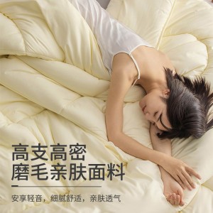 秋冬单人学生加厚舒柔四季保暖被芯