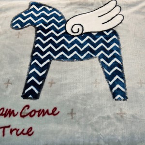 学生加厚双层拉舍尔毛毯 四季空调通用单人盖毯 办公室午休毯子
