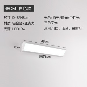 3169-白色-48公分-三色变光-19瓦