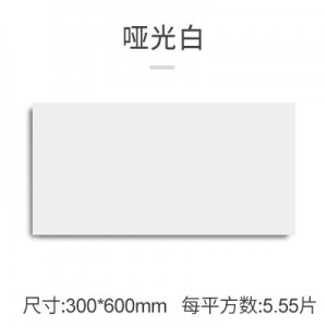 纯白 厨房卫生间墙砖 300x600 墙面砖 白色哑光厨卫瓷砖