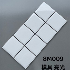 8M009