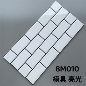 8M010
