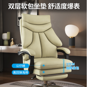 家用沙发椅办公椅  坐转椅